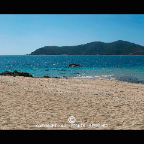 Blackisland
