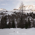 Yellowstone